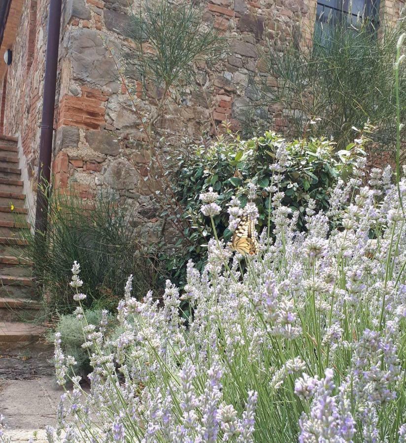 Casetta Tre Poderi Appartamento Cactus Monte Cucco ภายนอก รูปภาพ