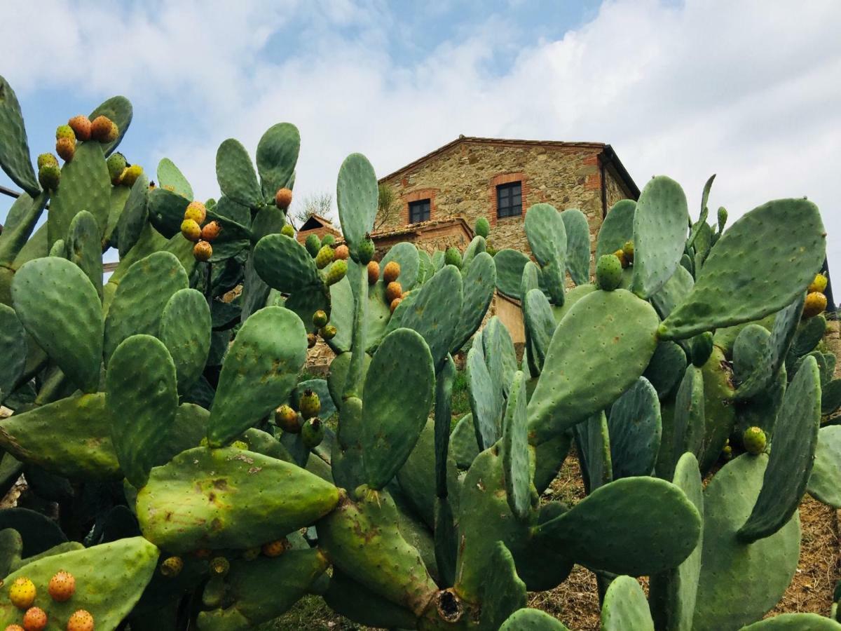 Casetta Tre Poderi Appartamento Cactus Monte Cucco ภายนอก รูปภาพ